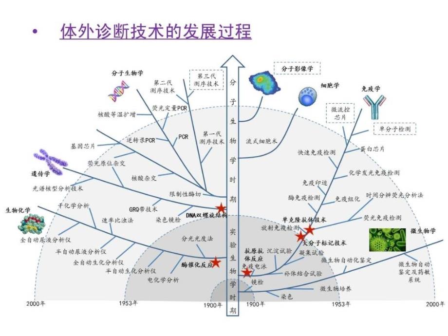 中国体外诊断技术的发展与创新.ppt_第3页