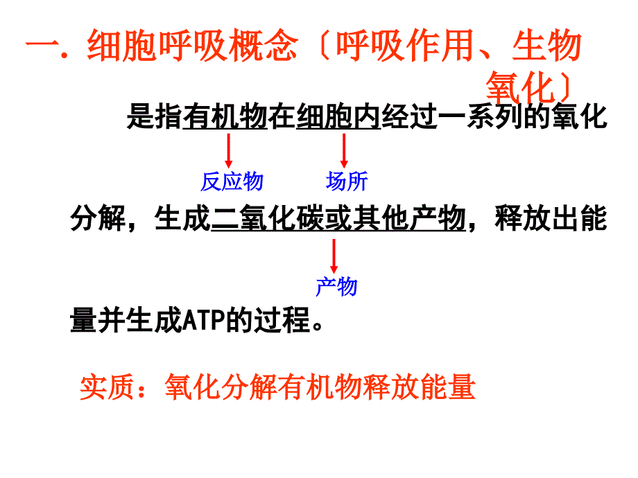 理化生细胞呼吸精美课件_第2页