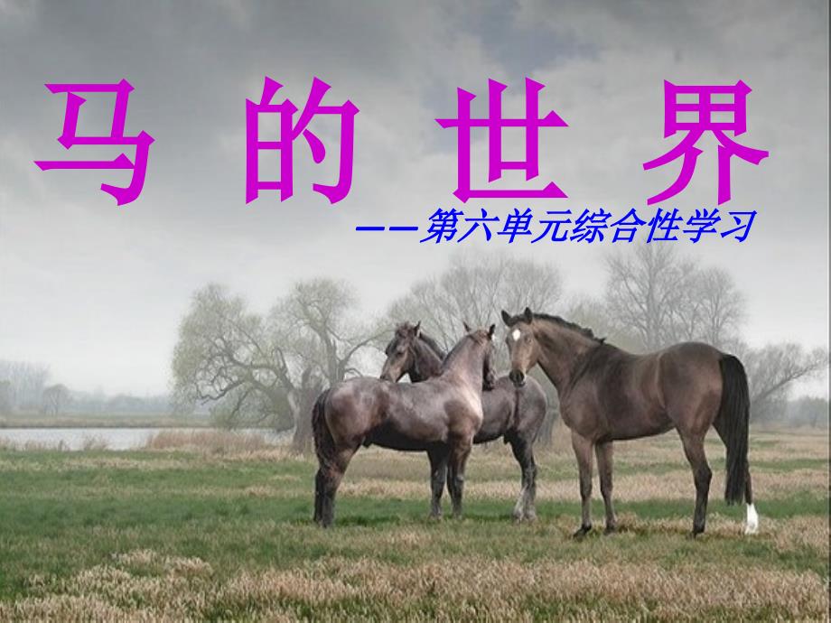 综合学习定稿马_第1页