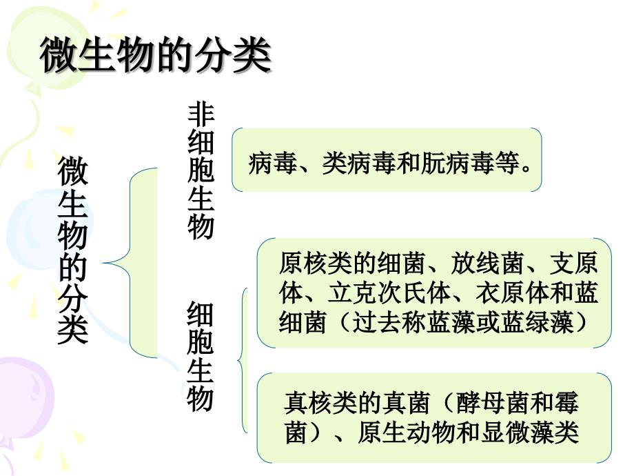 微生物基础知识培训-微生物基础知识及洁净区微生物控制PPT_第4页