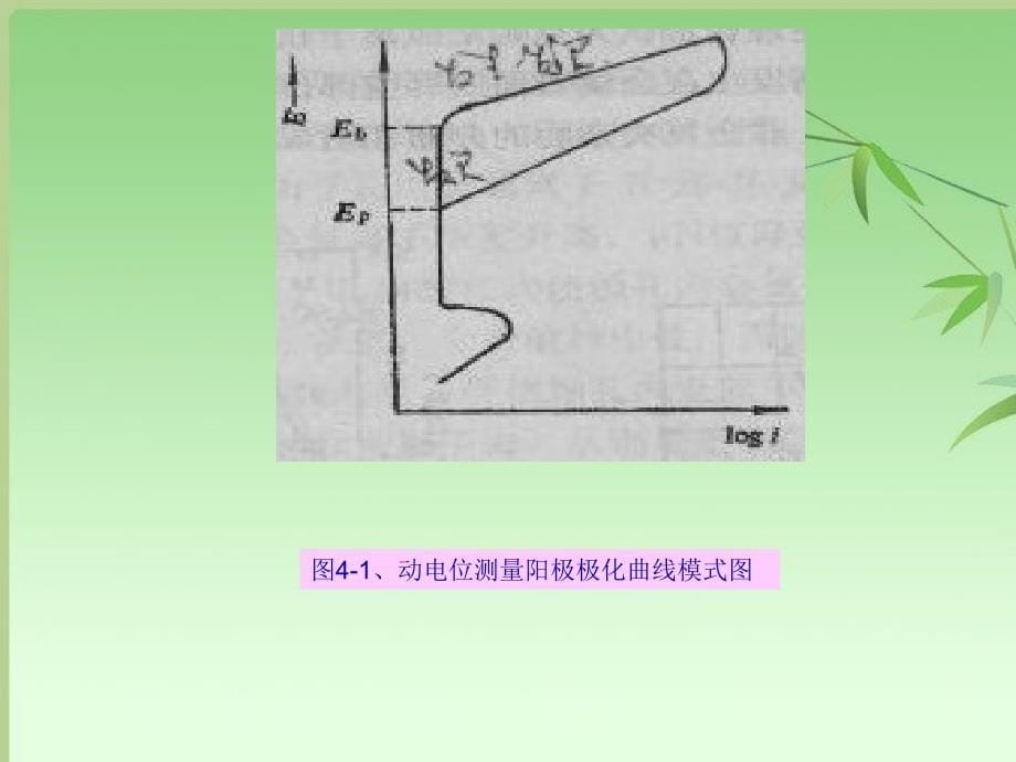 化学第三章电化学局部腐蚀_第5页