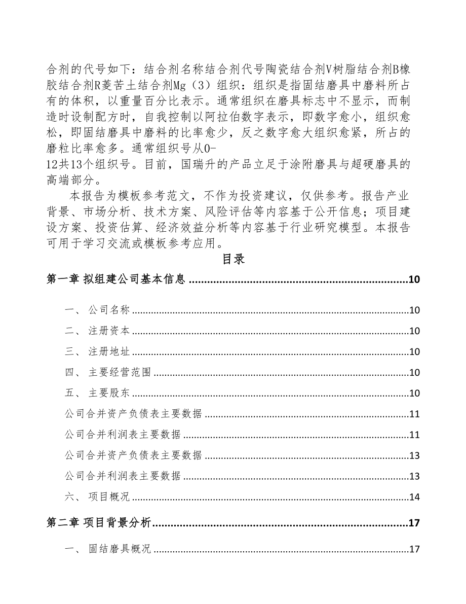 成立年产xxx吨抛光材料公司可行性研究报告(DOC 82页)_第3页