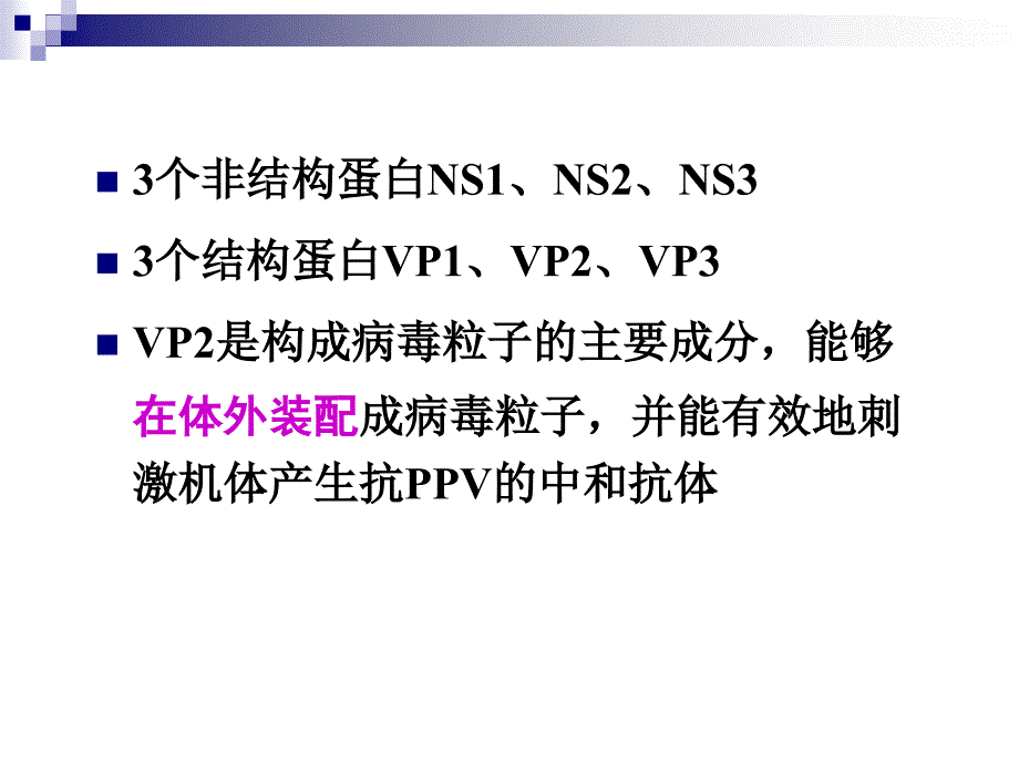 动物传染病学：猪细小病毒病_第3页