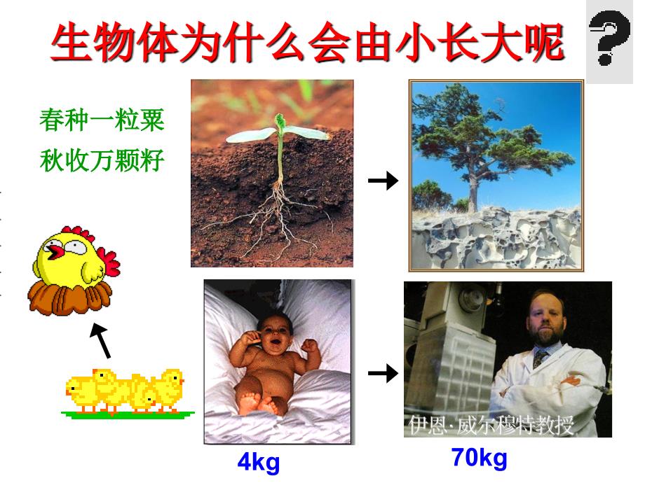 科学&#183;技术&#183;社会　“脱缰之马”——癌细胞 (3)_第4页