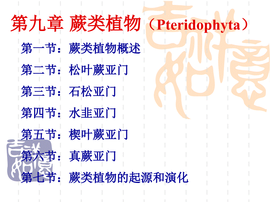 植物学教学课件：第九章 蕨类植物（Pteridophyta）_第1页