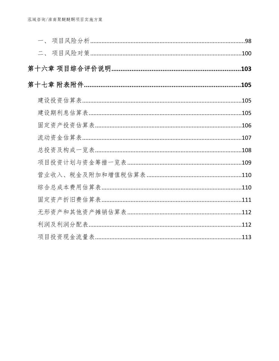 淮南聚醚醚酮项目实施方案_第5页