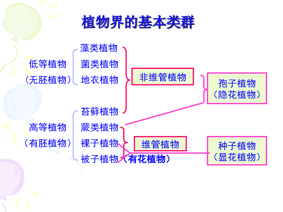 第一章树木的生长与木材的形成_第4页