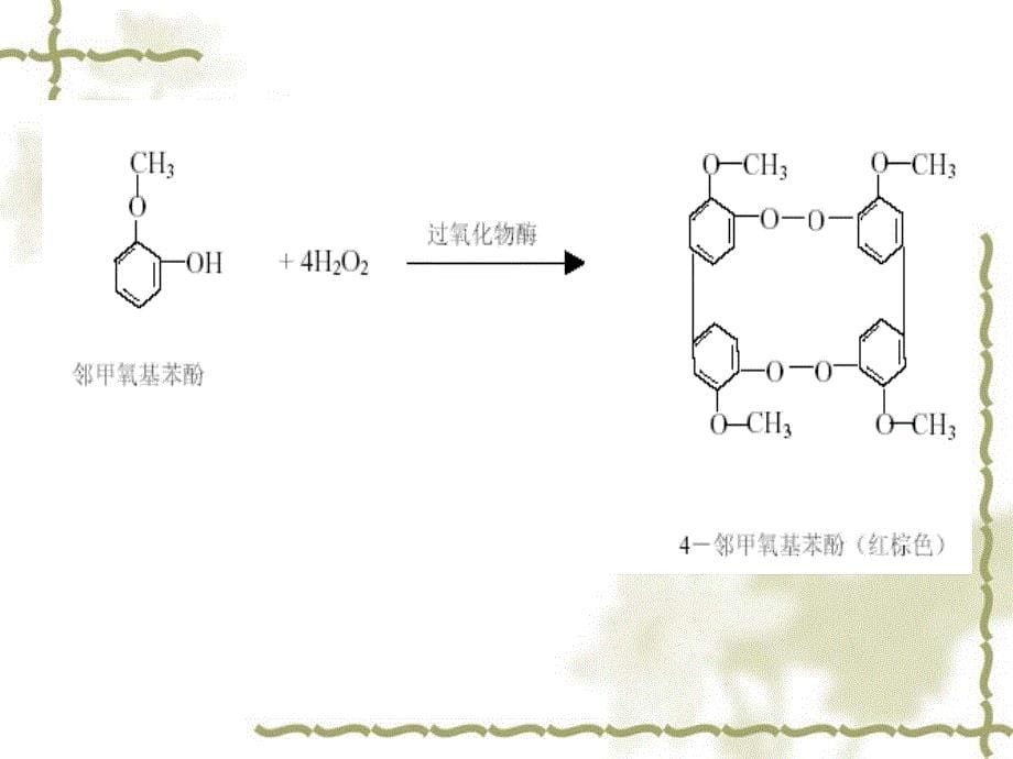 实验五过氧化物酶酶活性的测定_第5页