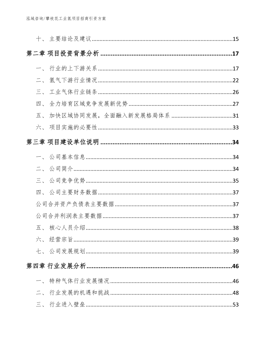 攀枝花工业氢项目招商引资方案（模板参考）_第4页