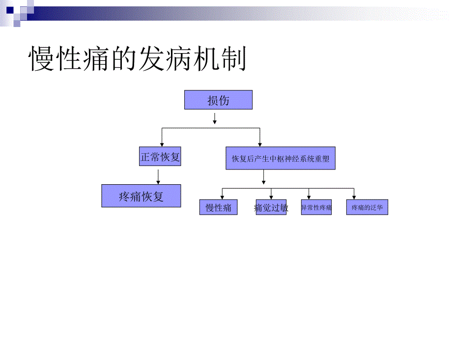 阿片类药物镇痛机制_第2页