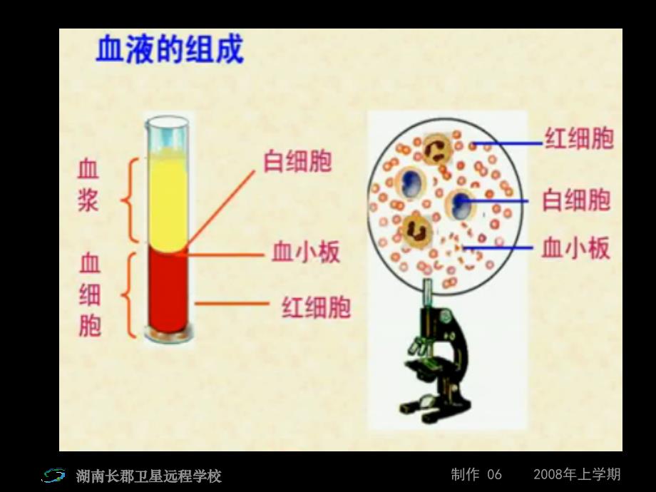 必修3第一章第1节细胞生活的环境_第4页