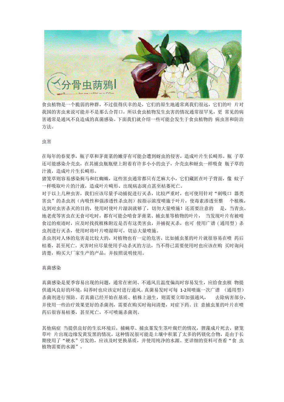 食虫植物的病虫害防治_第1页