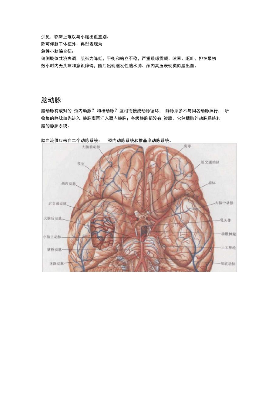 脑内各个部位梗塞对应的临床表现_第3页