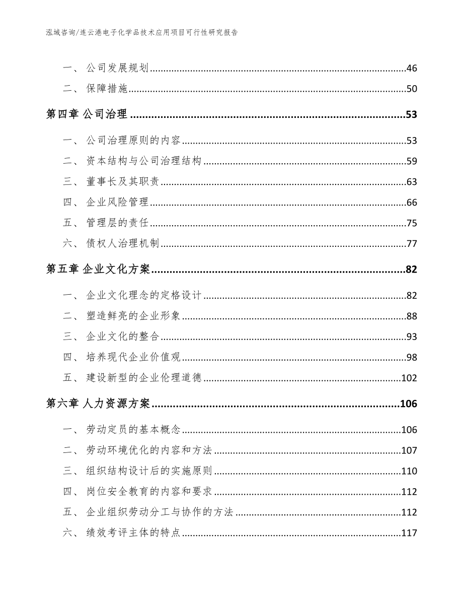 连云港电子化学品技术应用项目可行性研究报告模板范文_第2页