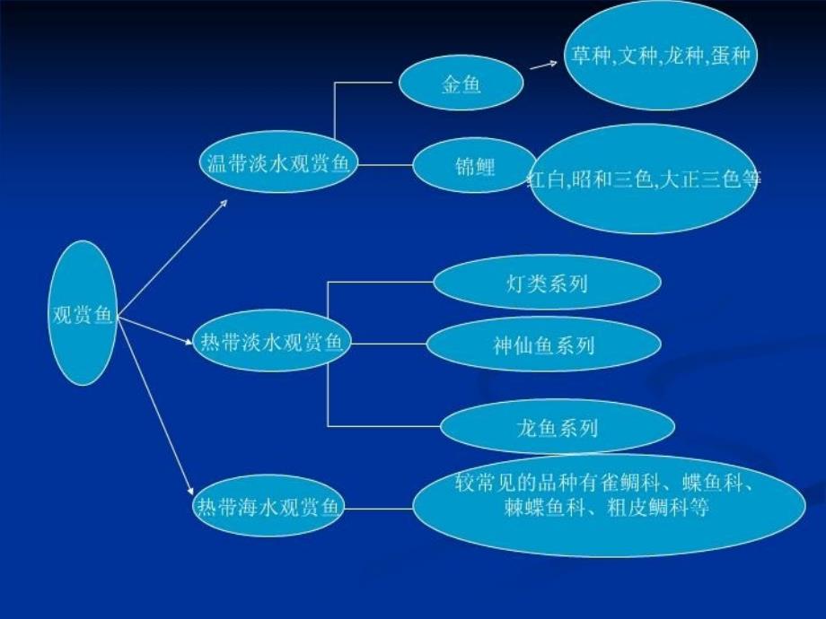 最新常见观赏鱼PPT课件_第3页