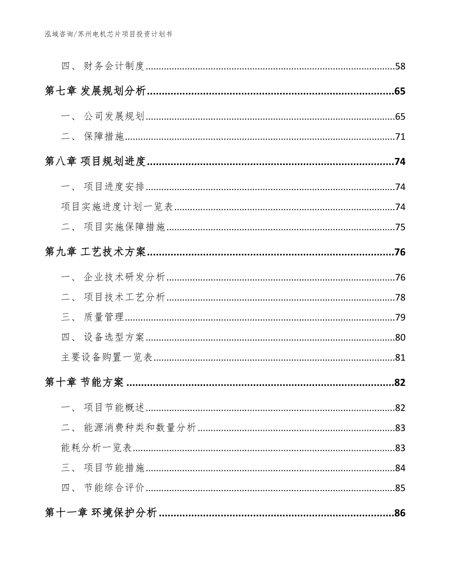 苏州电机芯片项目投资计划书_模板范本_第4页