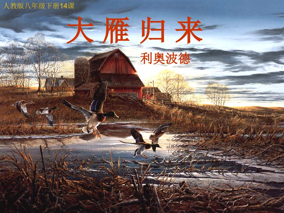14课大雁归来_第1页