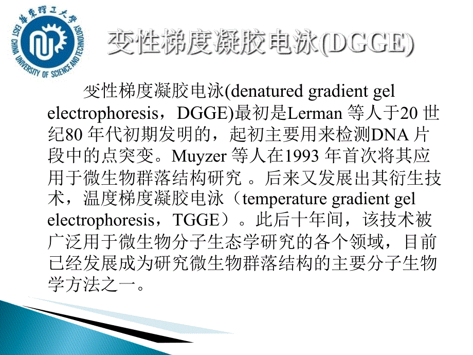 变性梯度凝胶电泳PCRDGGE_第2页