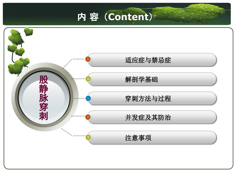 股静脉穿刺置管术_第2页