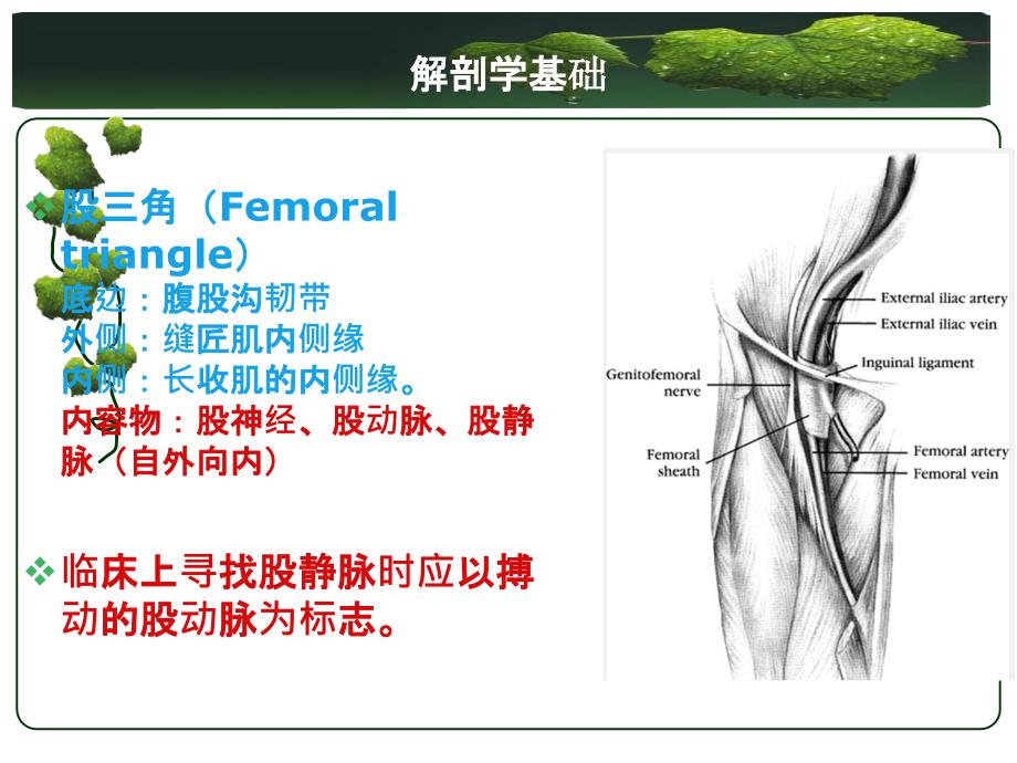 股静脉穿刺置管术_第4页