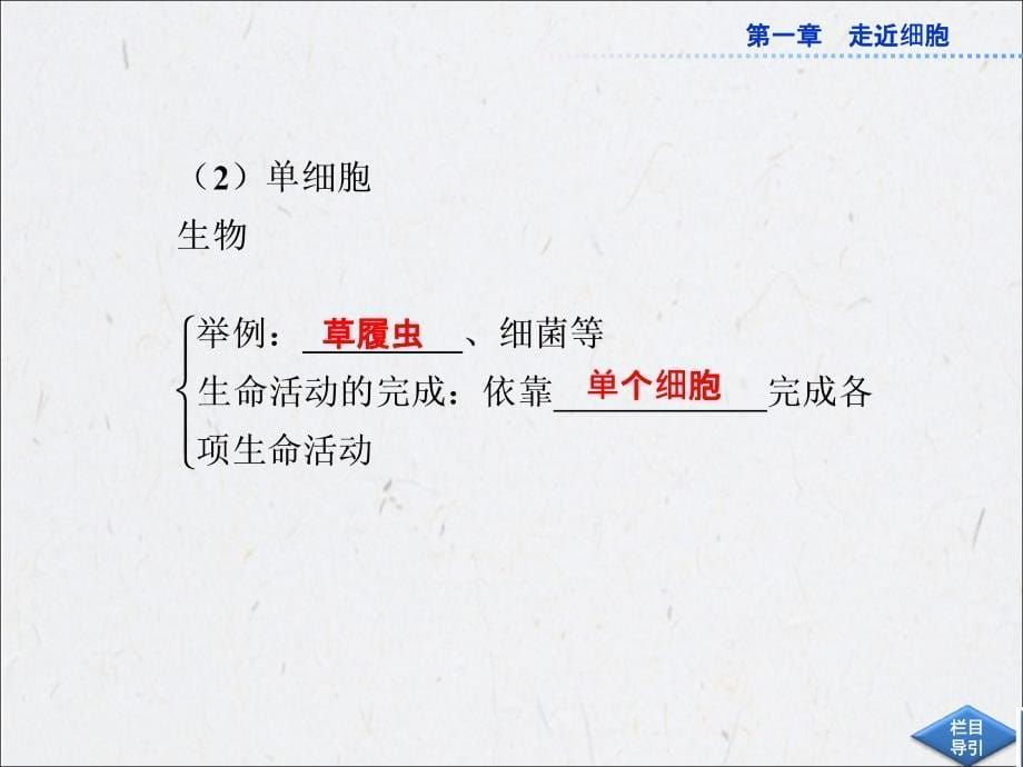 人民教育版高中生物必修1同步教学课件第一章第1节从生物圈到细胞_第5页