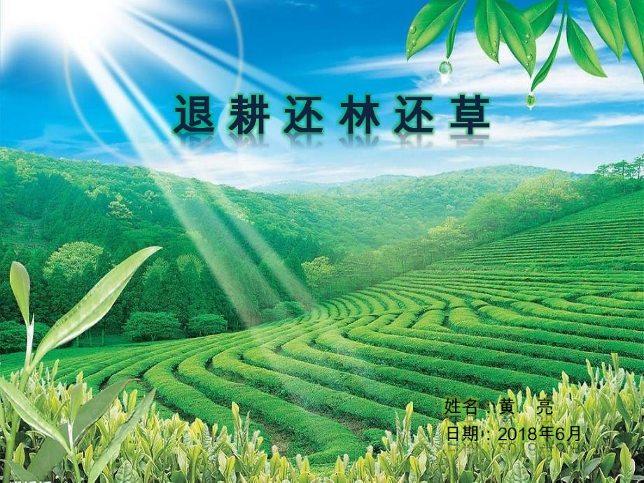 退耕还林还草课件_第1页