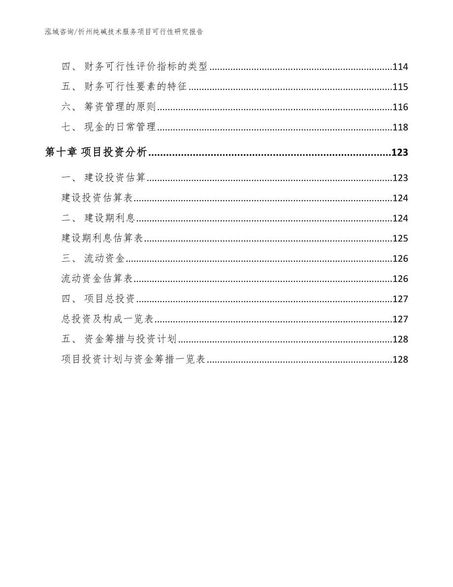 忻州纯碱技术服务项目可行性研究报告参考模板_第5页