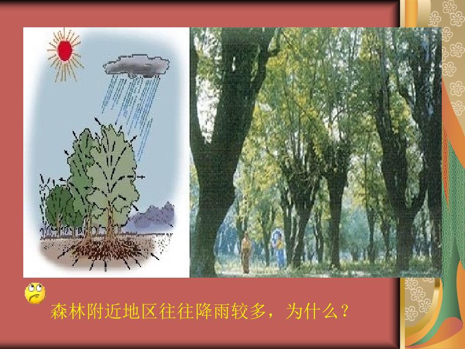 初中生物绿色植物的蒸腾作用.ppt_第3页