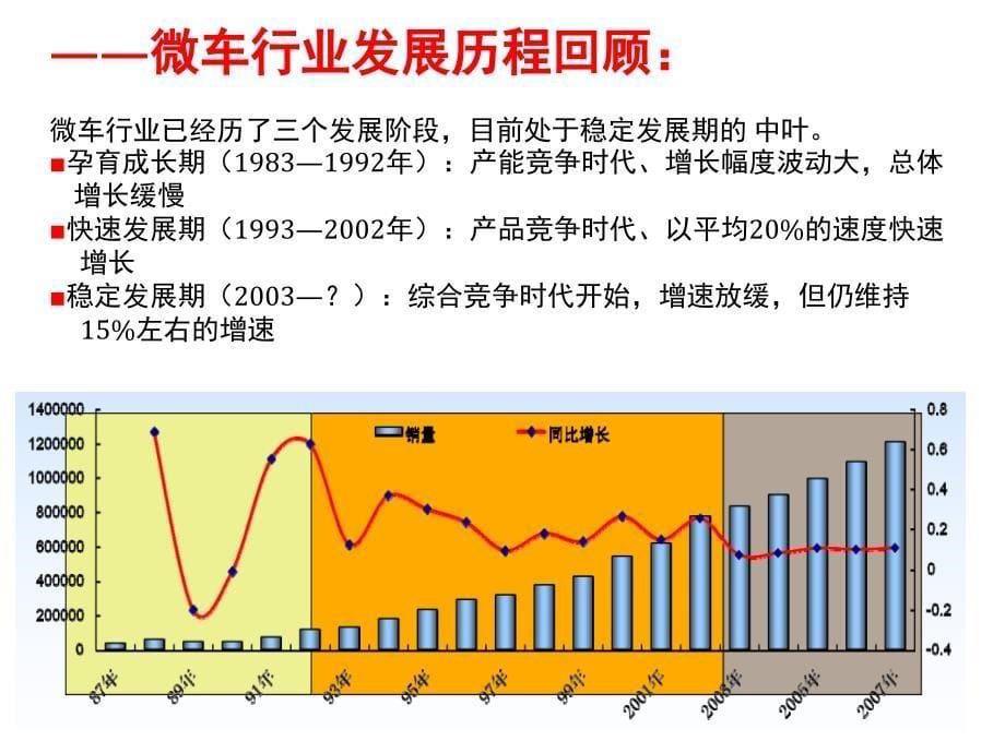 微型车市场分析_第5页