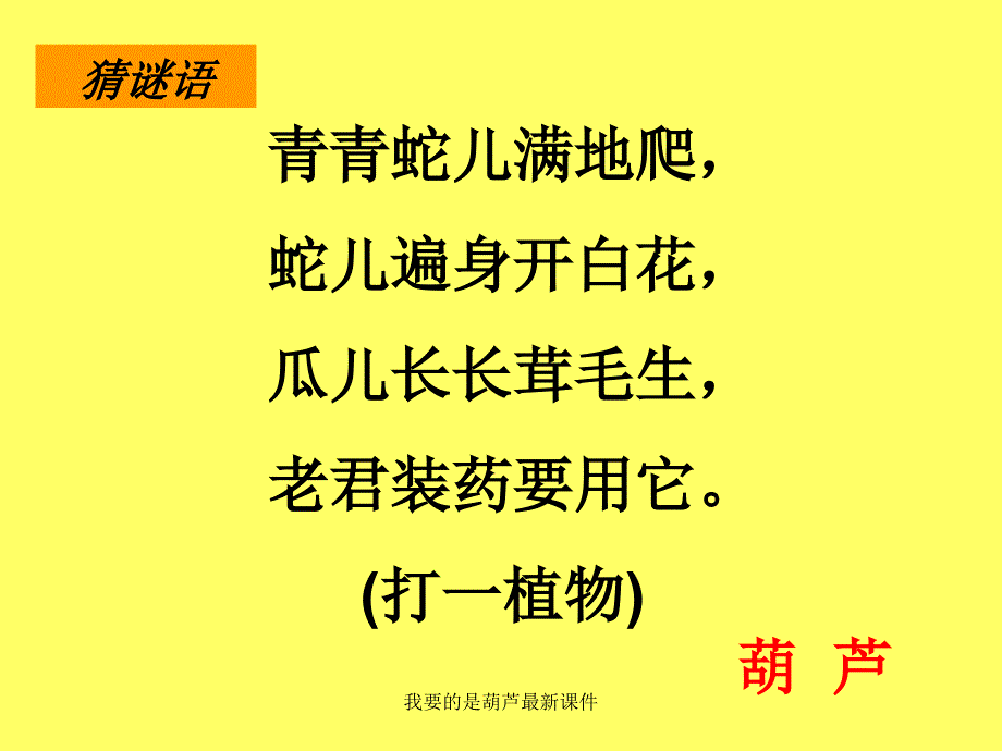 我要的是葫芦最新课件_第2页