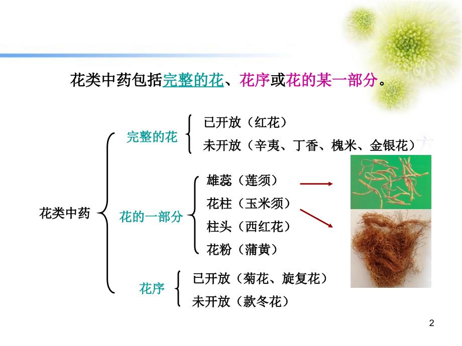 第10章花类生药鉴别ppt课件_第2页