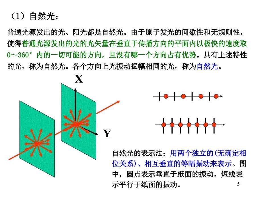 光的偏振与晶体光学基础_第5页