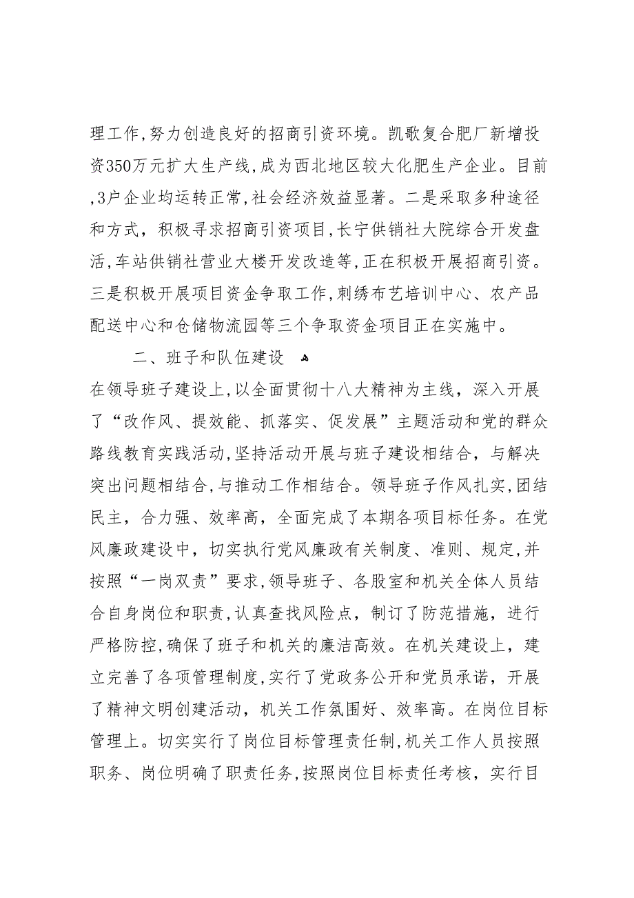 供销联社目标任务执行情况_第2页