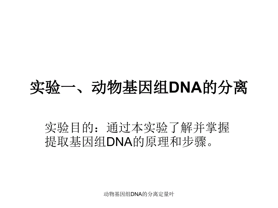 动物基因组DNA的分离定量叶课件_第1页