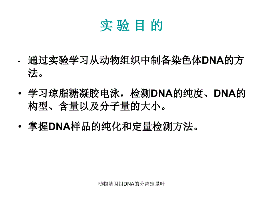 动物基因组DNA的分离定量叶课件_第3页