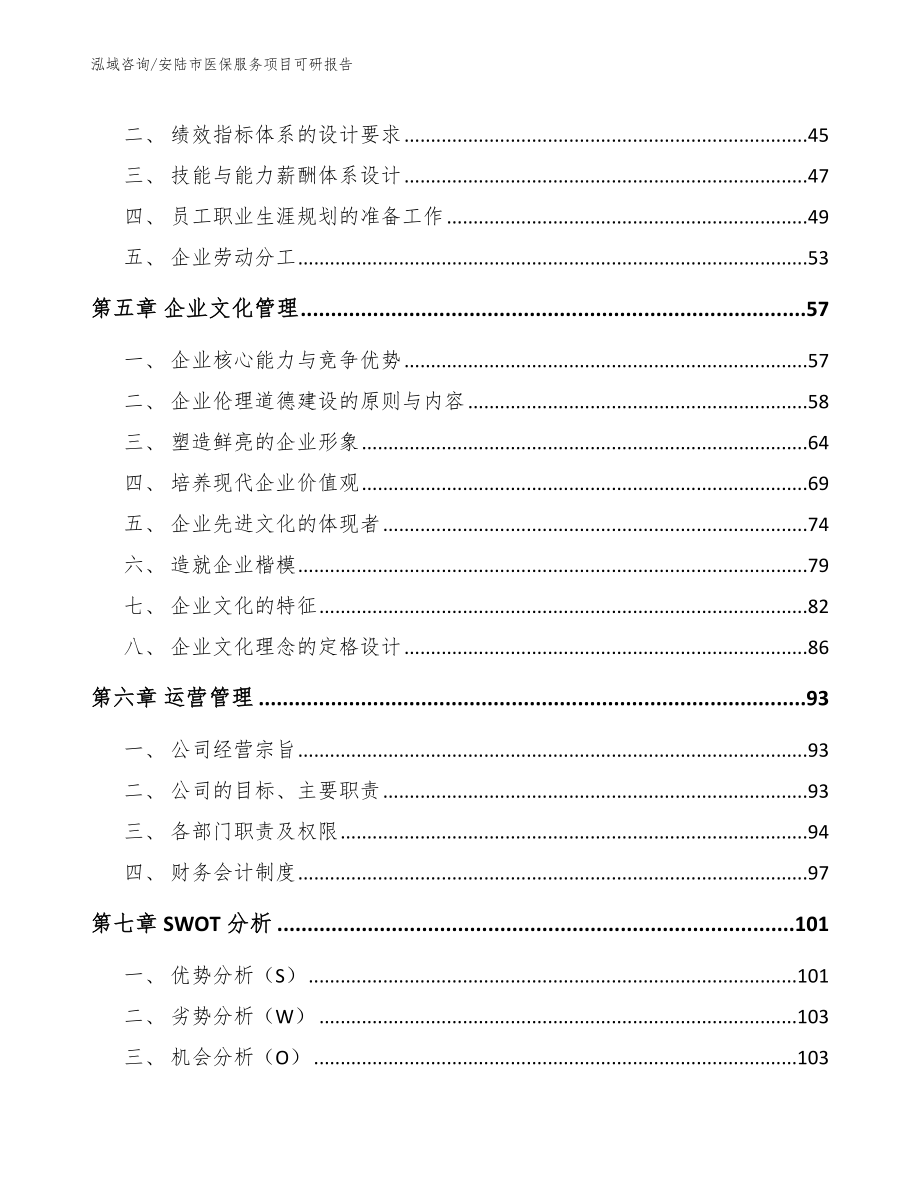 安陆市医保服务项目可研报告_第4页