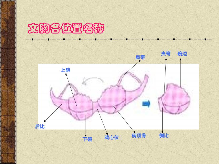 《内衣的分类》PPT课件_第4页