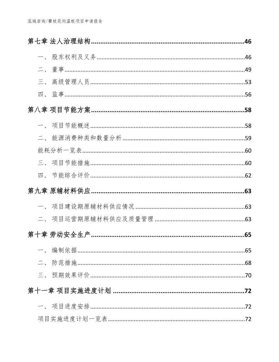 攀枝花均温板项目申请报告_模板范文_第5页