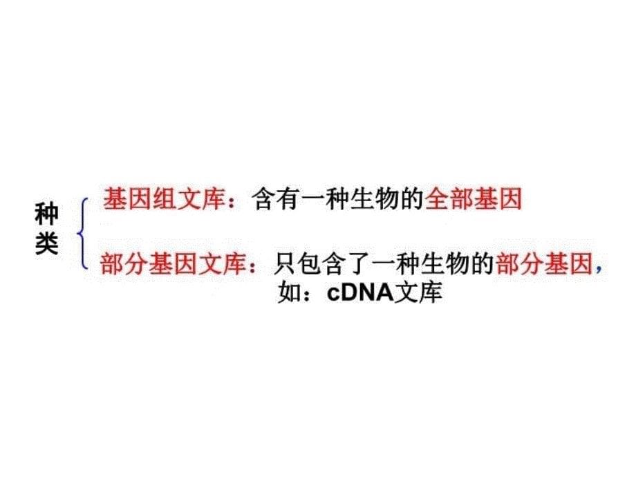 基因工程的基本操作程序优质课教学资料_第5页