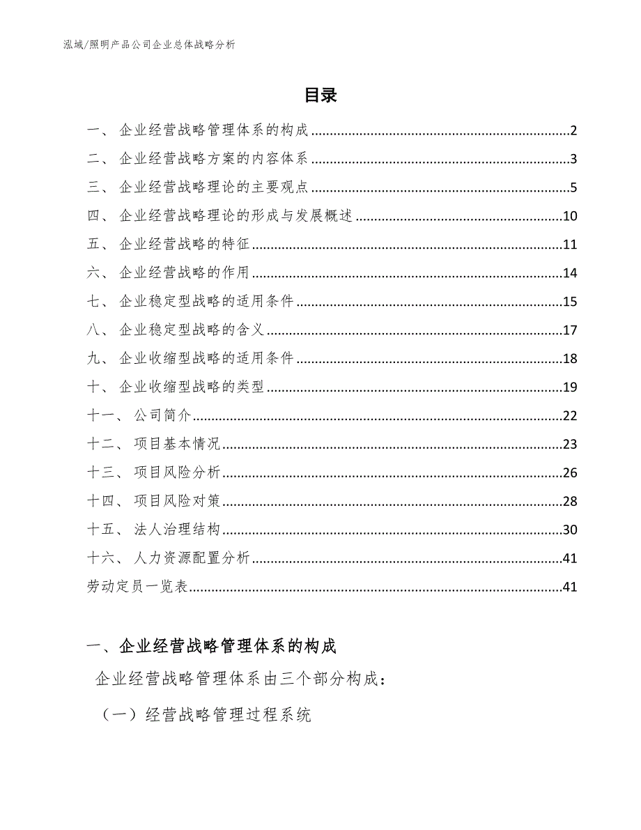 照明产品公司企业总体战略分析【范文】_第2页