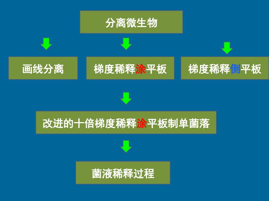 梯度稀释涂平板制单菌落_第2页