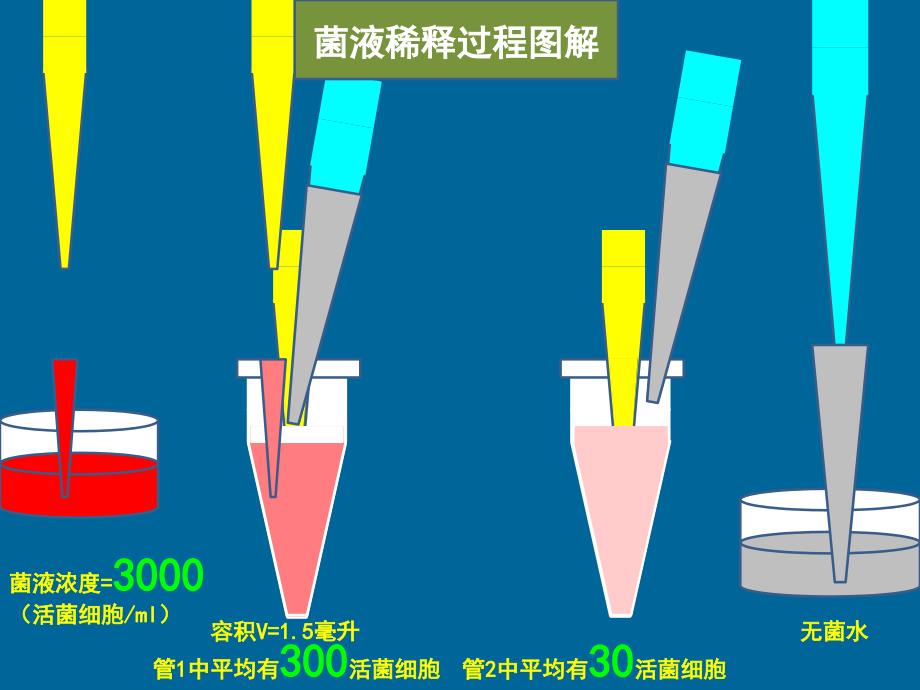 梯度稀释涂平板制单菌落_第3页