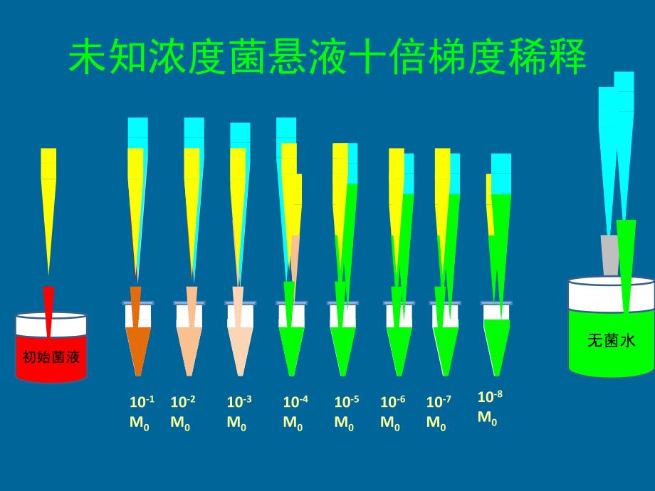 梯度稀释涂平板制单菌落_第4页