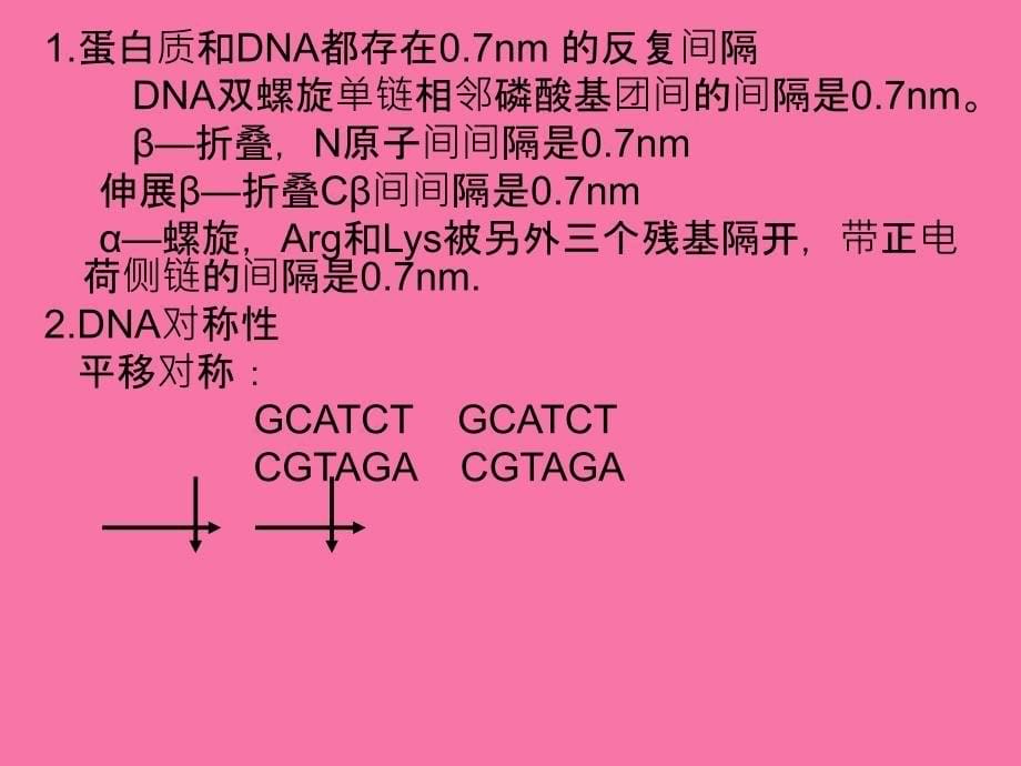 蛋白质与DNA的相互作用ppt课件_第5页