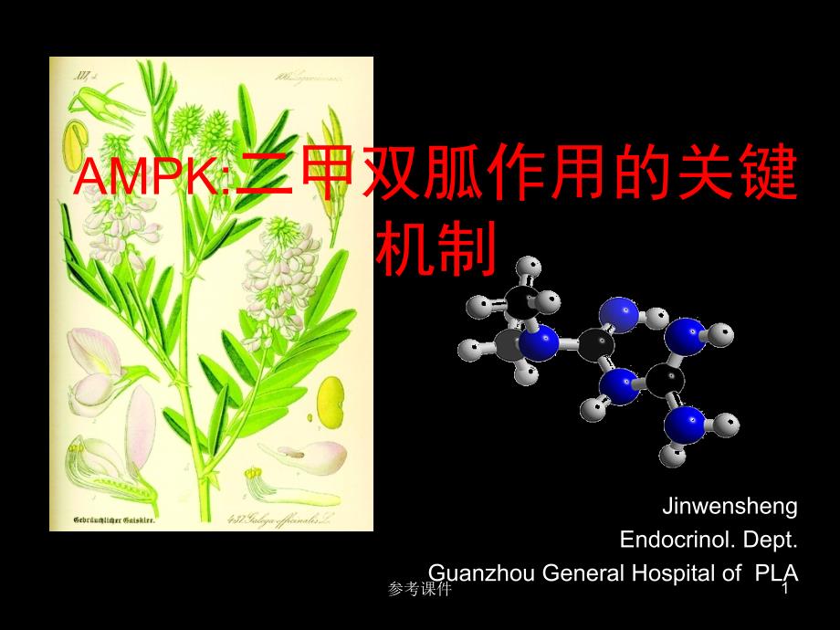 二甲双胍作用机制研究进展(关键靶点AMPK的核心作用)【优质材料】_第1页