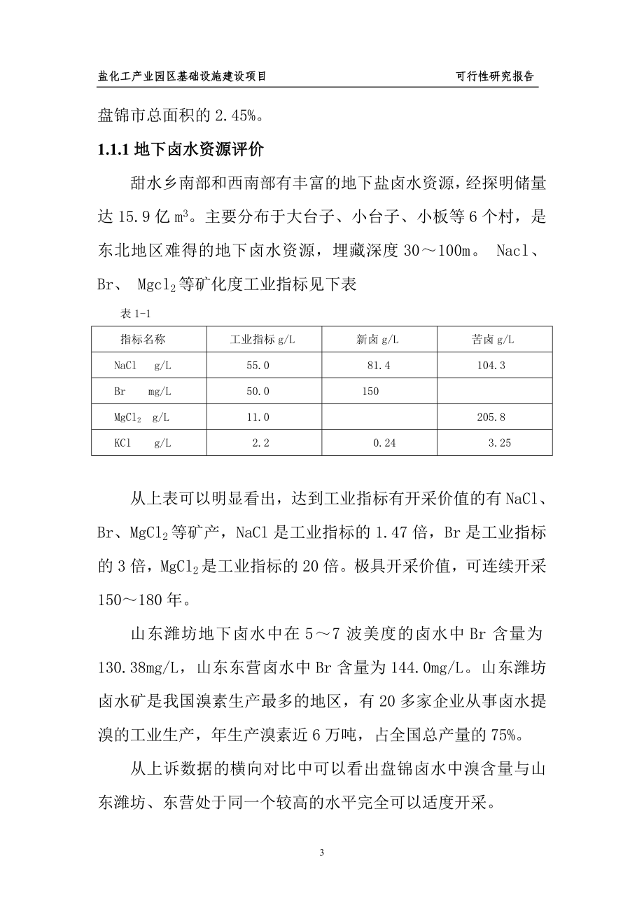 盐化工产业园区可行性研究报告_第3页