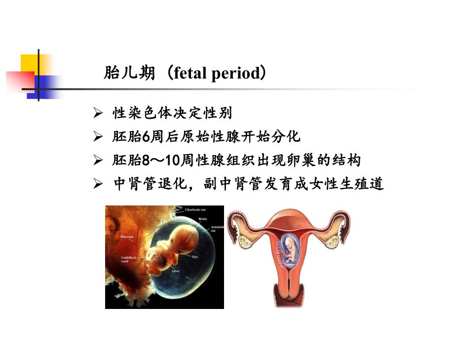 女性生殖内分泌基础知识及常见疾病的治疗精要_第4页