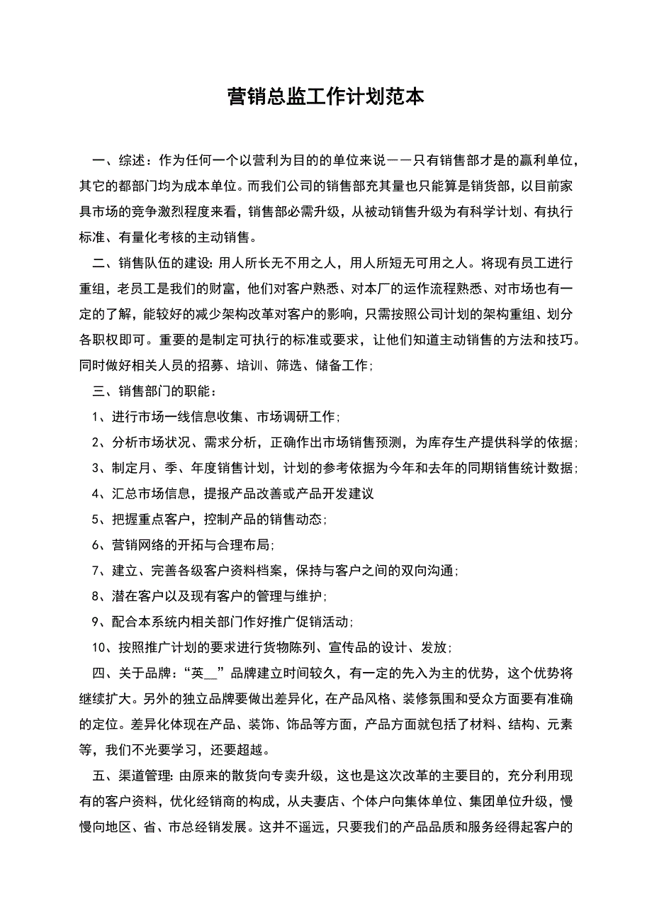 营销总监工作计划范本.docx_第1页