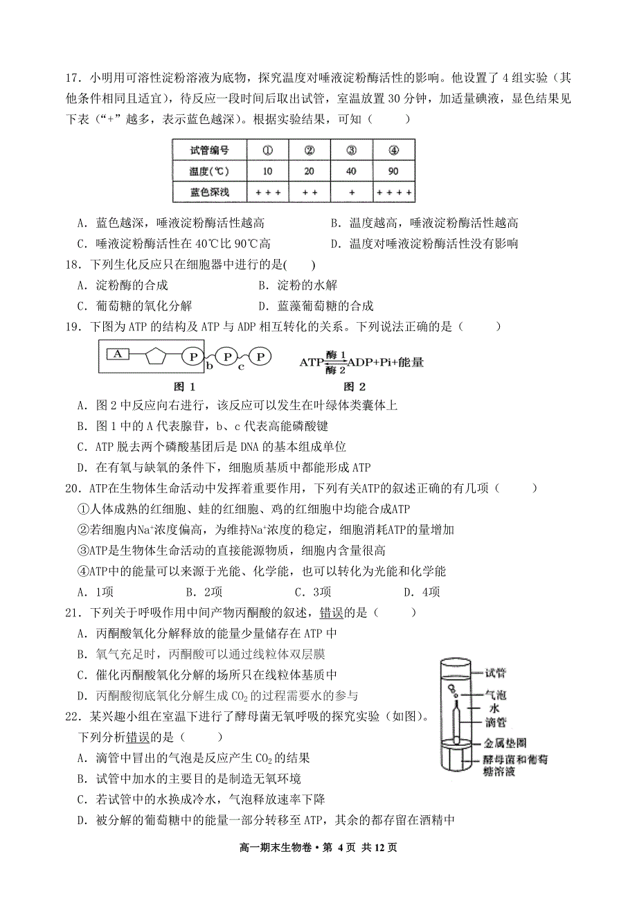 高一生物上学期必修一期末考试试卷_第4页