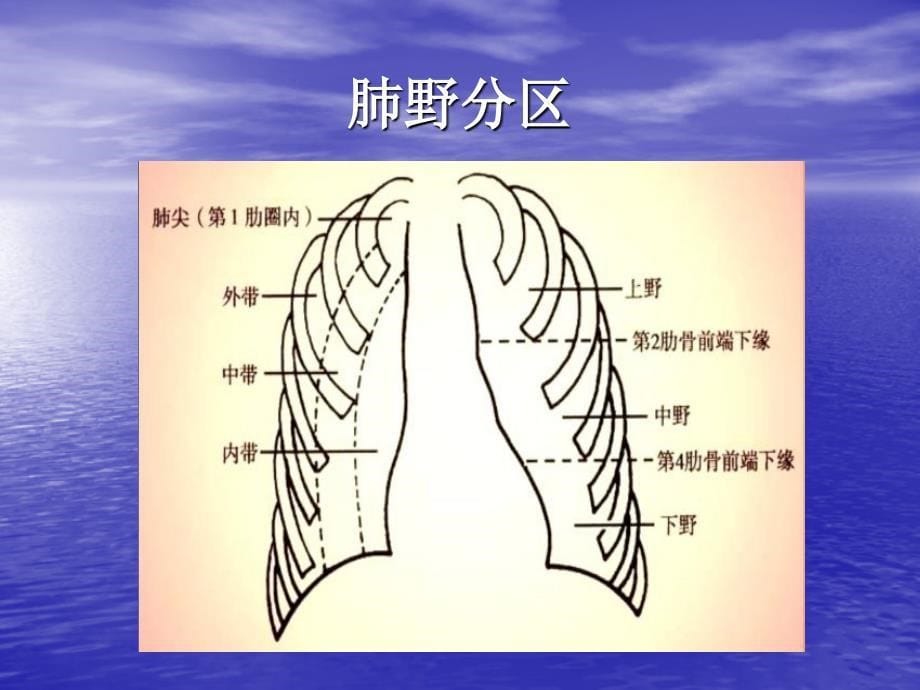 心脏X线平片诊断基础_第5页